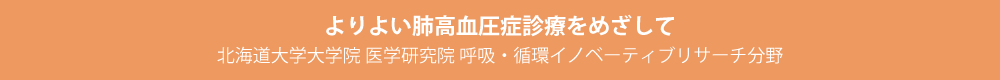 よりよい肺高血圧症診療をめざして 北海道大学大学院 医学研究院 呼吸・循環イノベーティブリサーチ分野 