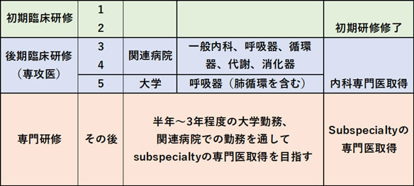 呼吸器病学（肺循環領域を含む））を中心に研修し、大学院へは進学しないモデル