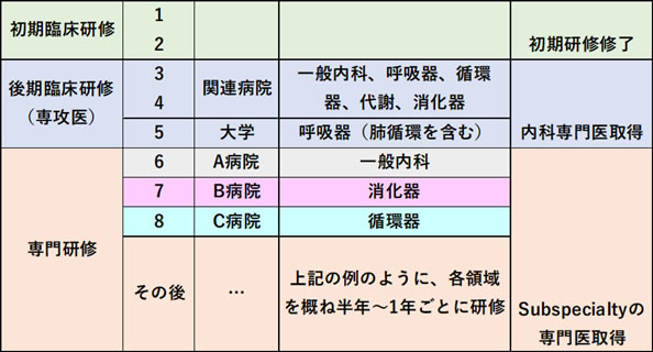 早期のsubspecialty領域専門医取得にこだわらず、内科領域を幅広く研修するモデル