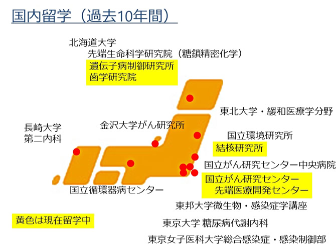 国内留学（過去10年間）